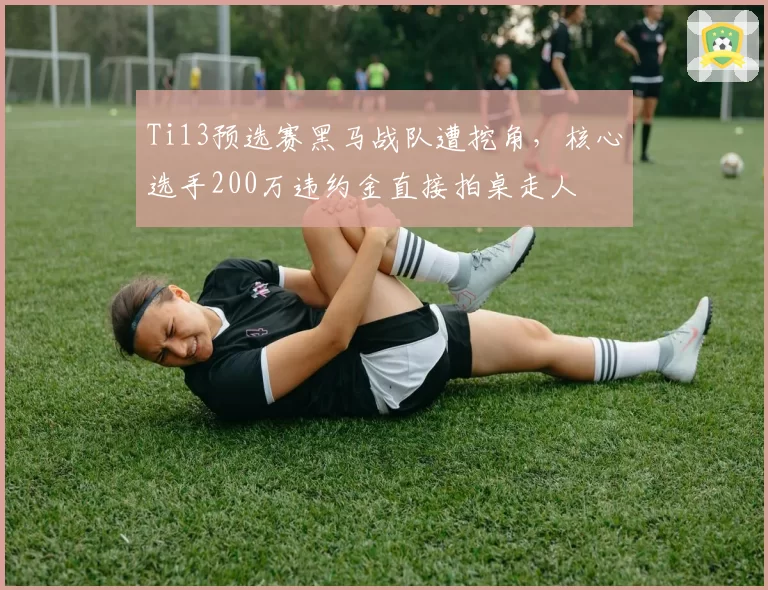 Ti13预选赛黑马战队遭挖角,核心选手200万违约金直接拍桌走人
