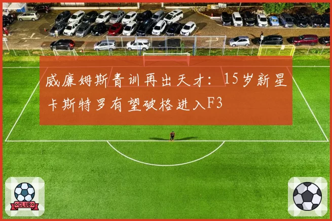 威廉姆斯青训再出天才:15岁新星卡斯特罗有望破格进入F3