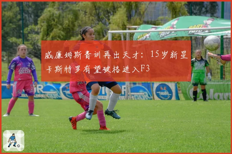 威廉姆斯青训再出天才：15岁新星卡斯特罗有望破格进入F3
