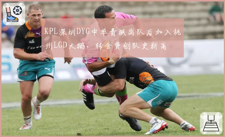 KPL深圳DYG中单青枫离队后加入杭州LGD大鹅,转会费创队史新高