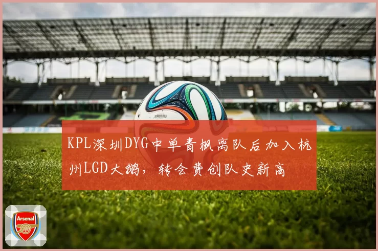 KPL深圳DYG中单青枫离队后加入杭州LGD大鹅,转会费创队史新高